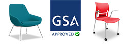 Lilly and Mimi receive GSA approval